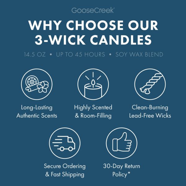 Blueberry Cake Donut 3-Wick Candle - 图片 4