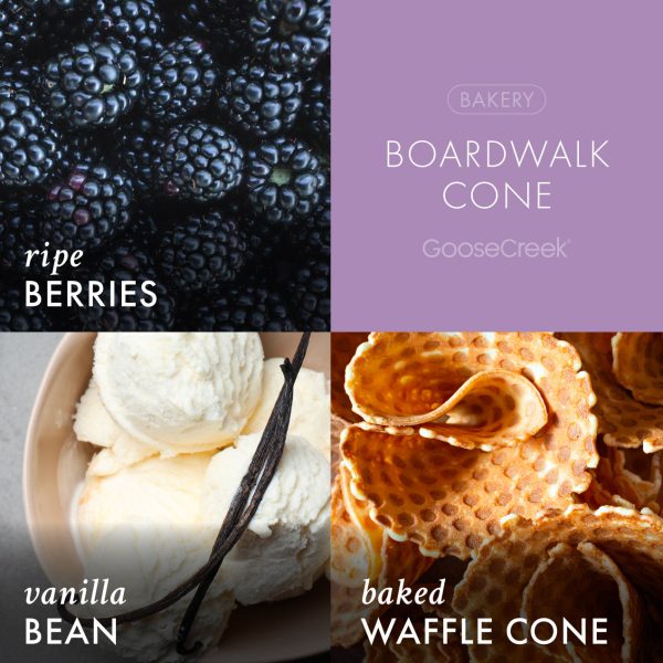 Boardwalk Cone Plug-In & Refill Bundle - 图片 2