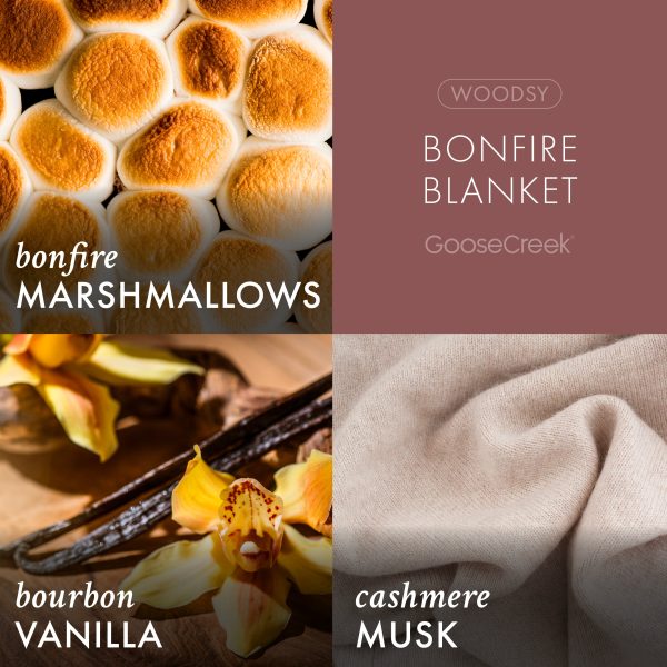 Bonfire Blanket 3-Wick Candle - 图片 3
