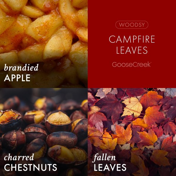 Campfire Leaves 3-Wick Candle - 图片 3