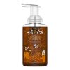 Cinnamon Pumpkin Lush Foaming Hand Soap