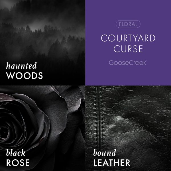 Courtyard Curse 3-Wick Scooby-Doo Candle - 图片 3
