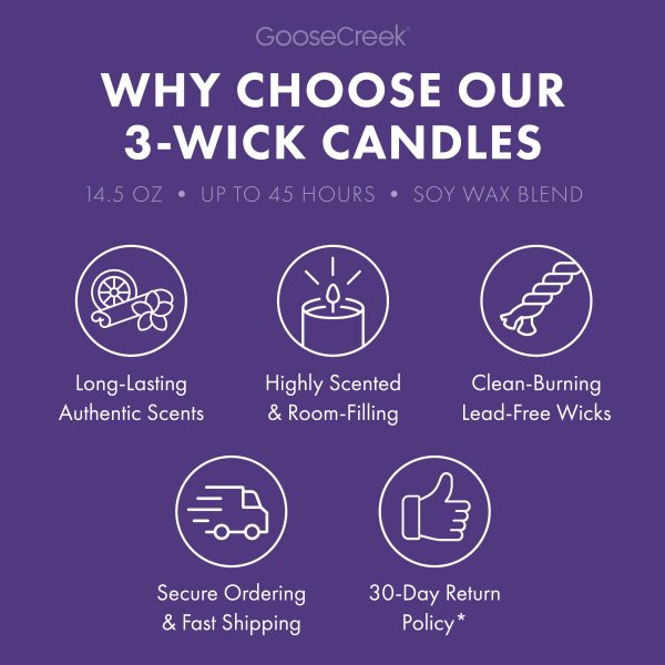 Courtyard Curse 3-Wick Scooby-Doo Candle - 图片 4