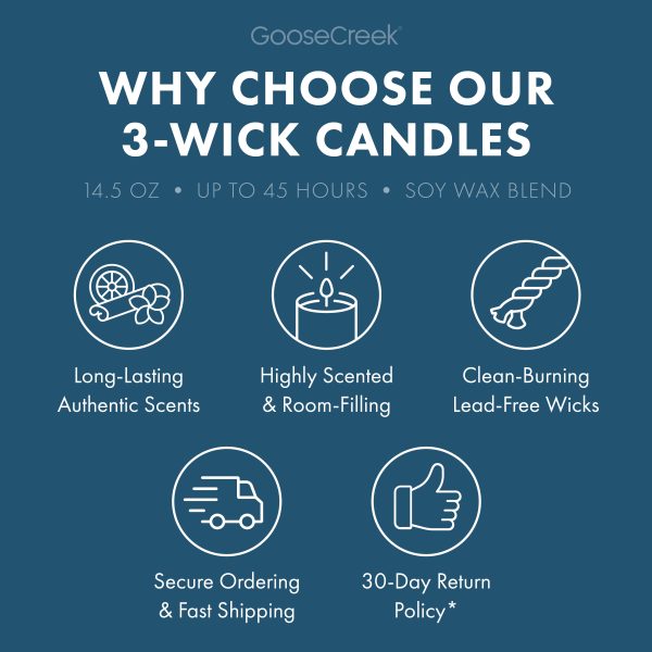 Dining Hall Terrors (Scooby Snack) 3-Wick Scooby-Doo Candle - 图片 4
