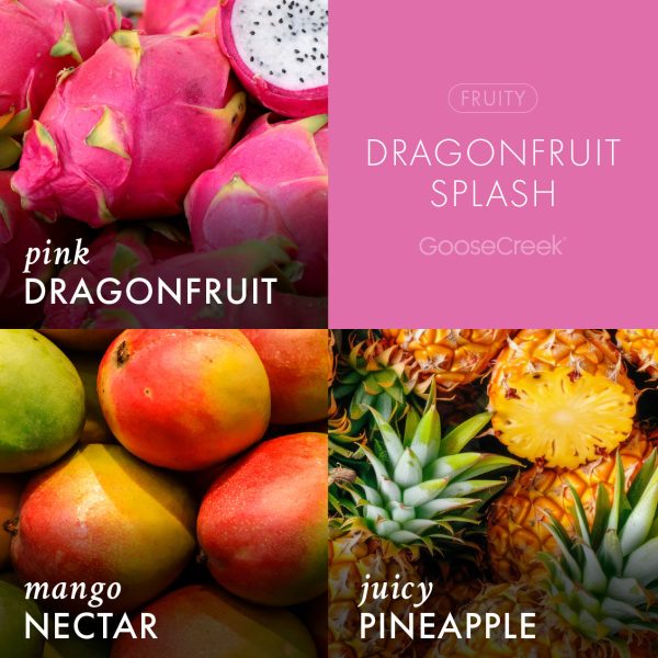 Dragonfruit Splash Plug-In & Refill Bundle - 图片 2
