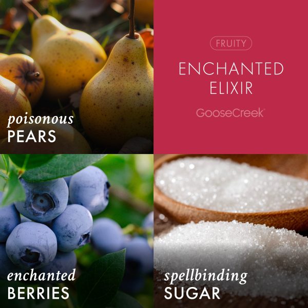 Enchanted Elixir 3-Wick Candle - 图片 3