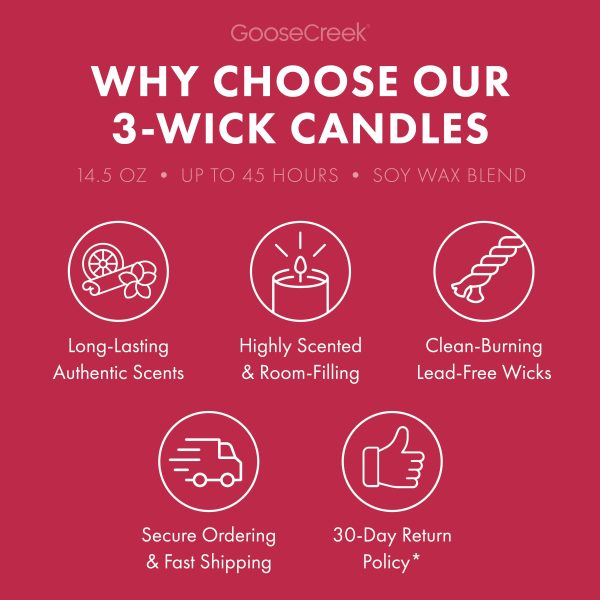 Enchanted Elixir 3-Wick Candle - 图片 4