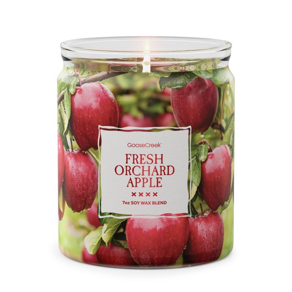 Fresh Orchard Apple 7oz Single Wick Candle - 图片 2