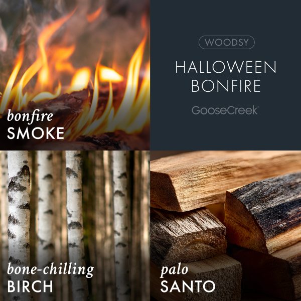 Halloween Bonfire 3-Wick Candle - 图片 3