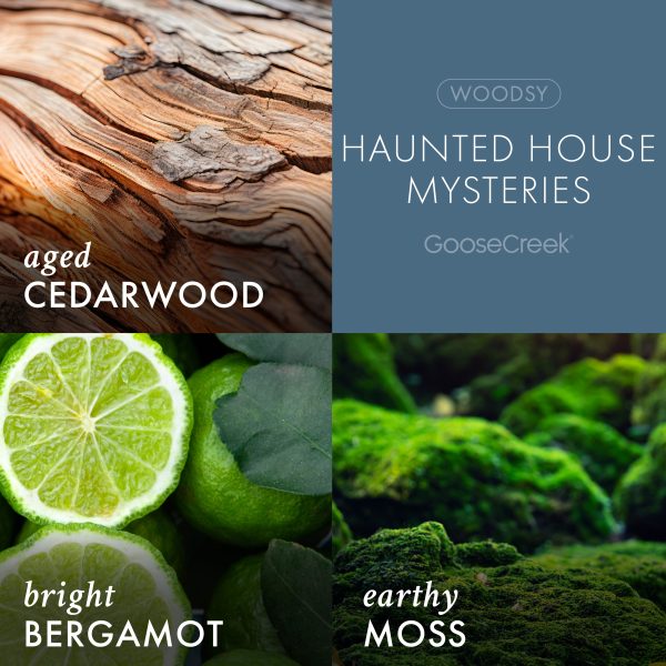 Haunted House Mysteries 3-Wick Scooby-Doo Candle - 图片 3