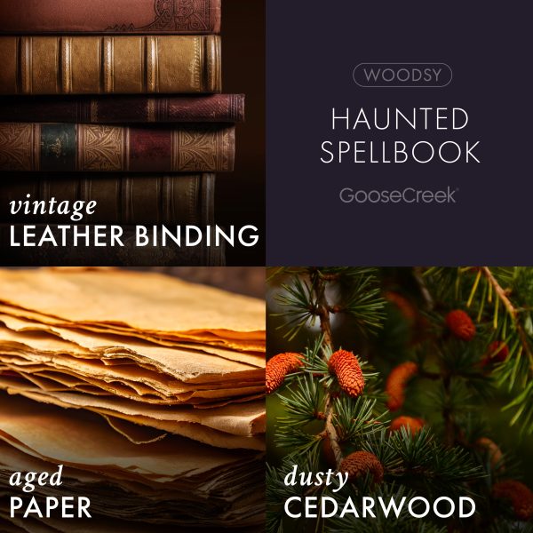 Haunted Spellbook 3-Wick Candle - 图片 3