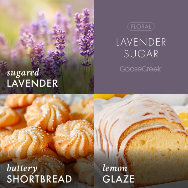 Lavender Sugar 3-Wick Candle - 图片 3
