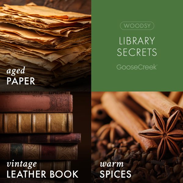 Library Secrets 3-Wick Scooby-Doo Candle - 图片 3