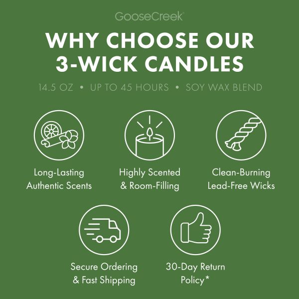 Library Secrets 3-Wick Scooby-Doo Candle - 图片 4