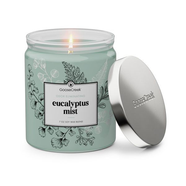 Odor Eliminating Eucalyptus Mist 7oz Single Wick Candle - 图片 2