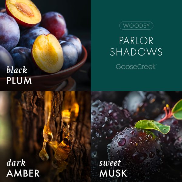 Parlor Shadows 3-Wick Scooby-Doo Candle - 图片 3