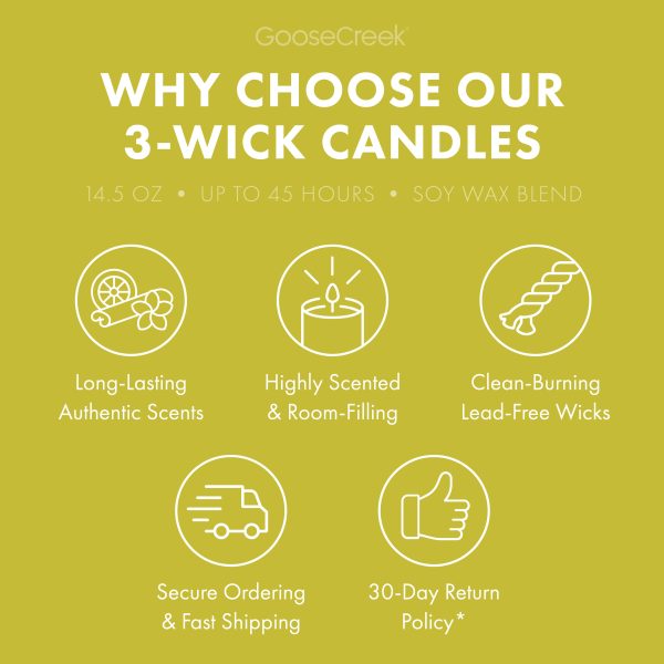 Pistachio Biscotti 3-Wick Candle - 图片 4