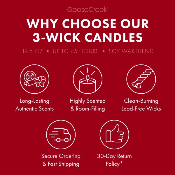 Pomegranate Cran-Apple 3-Wick Candle - 图片 4