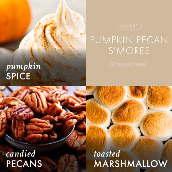 Pumpkin Pecan S'mores 3-Wick Candle - 图片 3