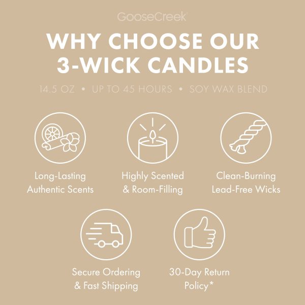 Pumpkin Pecan S'mores 3-Wick Candle - 图片 4