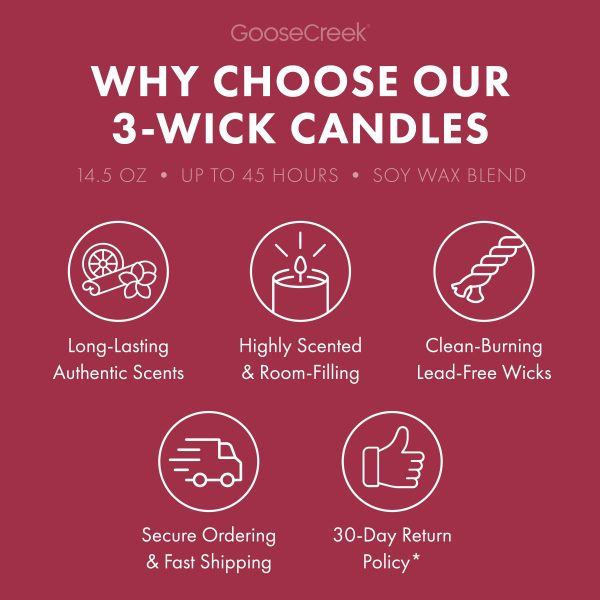Scary Cherry Brownie Large 3-Wick Candle - 图片 4