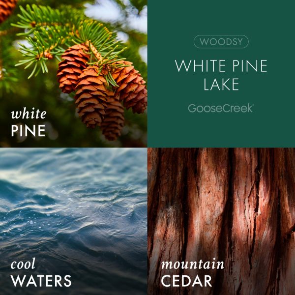 White Pine Lake Plug-In & Refill Bundle - 图片 2