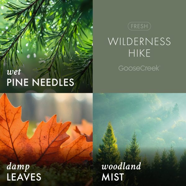 Wilderness Hike 3-Wick Candle - 图片 3