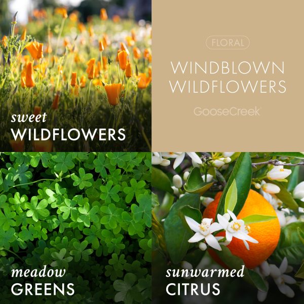 Windblown Wildflowers 3-Wick Candle - 图片 3